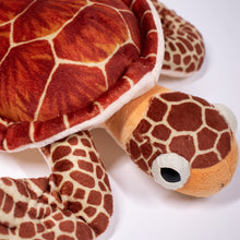 Load image into Gallery viewer, Small Loggerhead Stuffed Animal