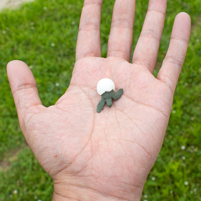 Mini Hatchling Toy