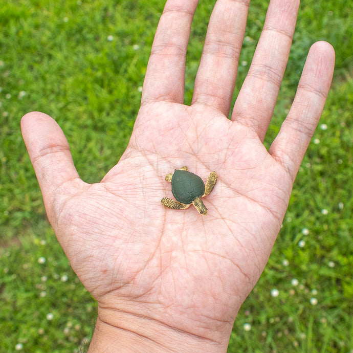 Mini Sea Turtle Toy