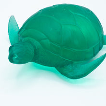 Load image into Gallery viewer, Sugar Squeezy Sea Turtle