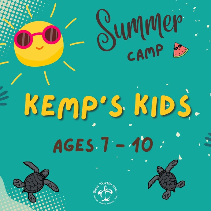 2024 Summer Camp: Kemp Kids (Rising 2nd-5th graders)