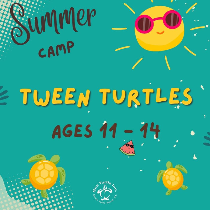 2024 Summer Camp: Tween Turtles (Rising 6th-9th graders)