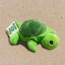 Load image into Gallery viewer, 6” Wild Beans Sea Turtle