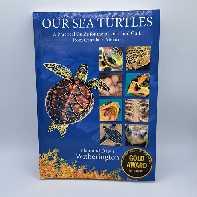 Our Sea Turtles