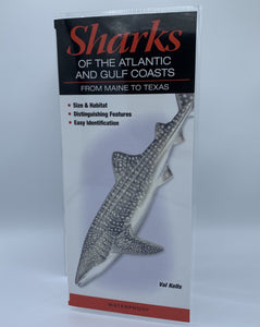 Sharks of the Atlantic and Gulf Coasts Pamphlet