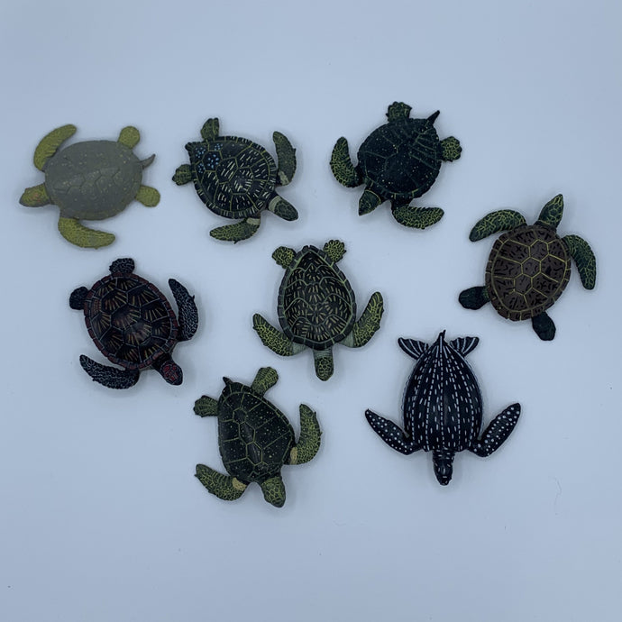 $2 Turtle Toys