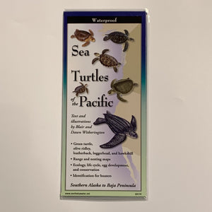 Sea Turtles of the Pacific Pamphlet