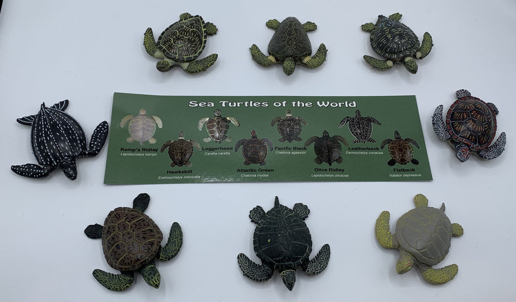 Bag of 8 Turtle Toys