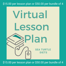 Load image into Gallery viewer, Virtual Lesson Plan Topic Sea Turtle Diets