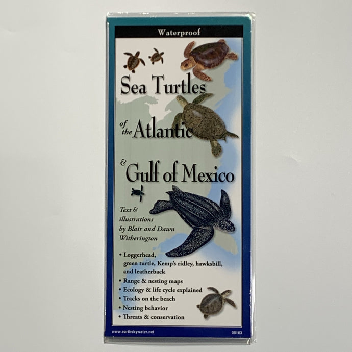 Sea Turtles of the Atlantic & Gulf Pamphlet